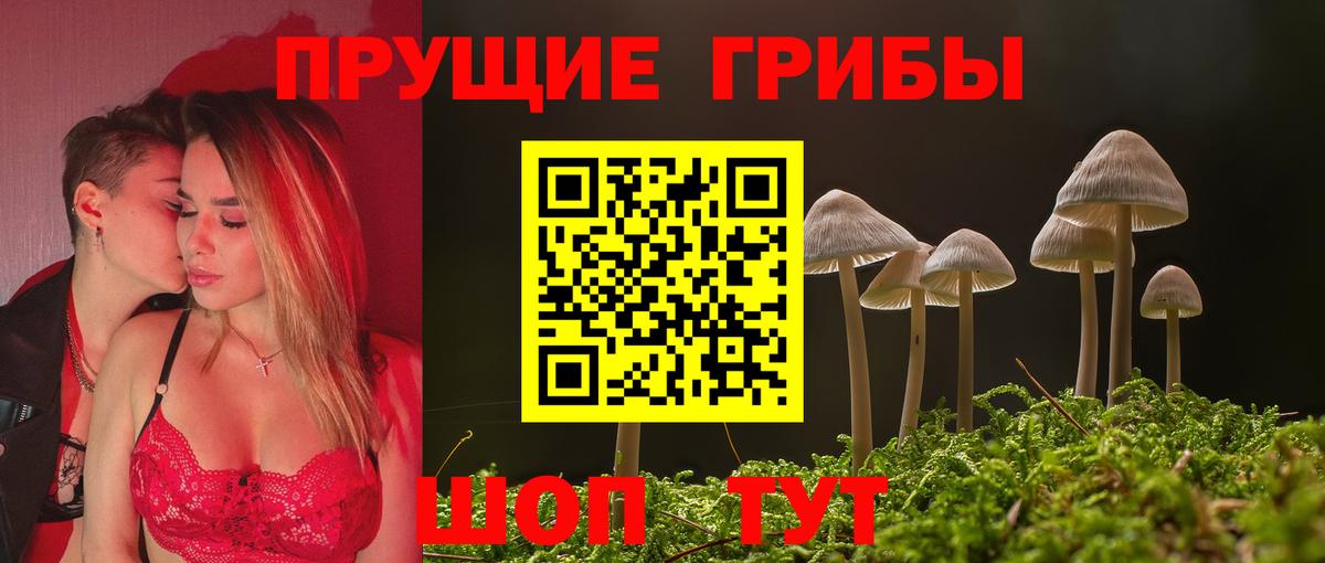 Псилоцибиновые грибы Magic Shrooms Канаш